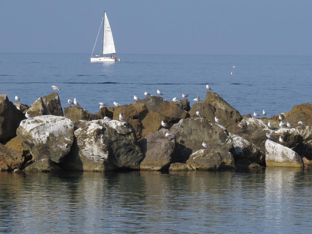 Hotel Villino Ermione Marina Di Pisa Exteriér fotografie
